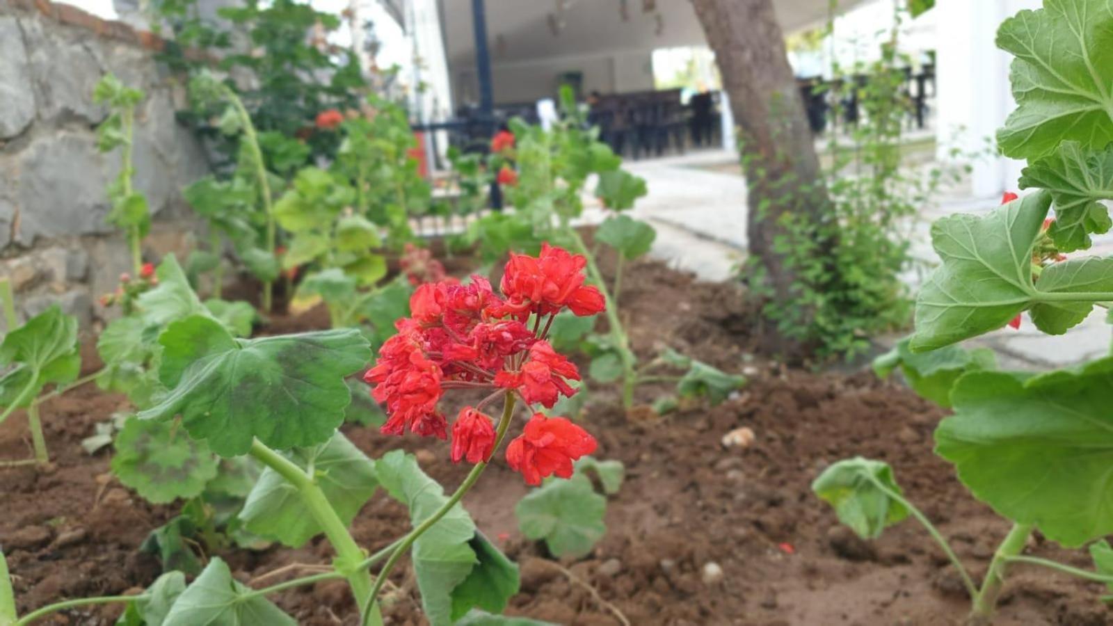 פאטהיה Sardunya Hotel מראה חיצוני תמונה